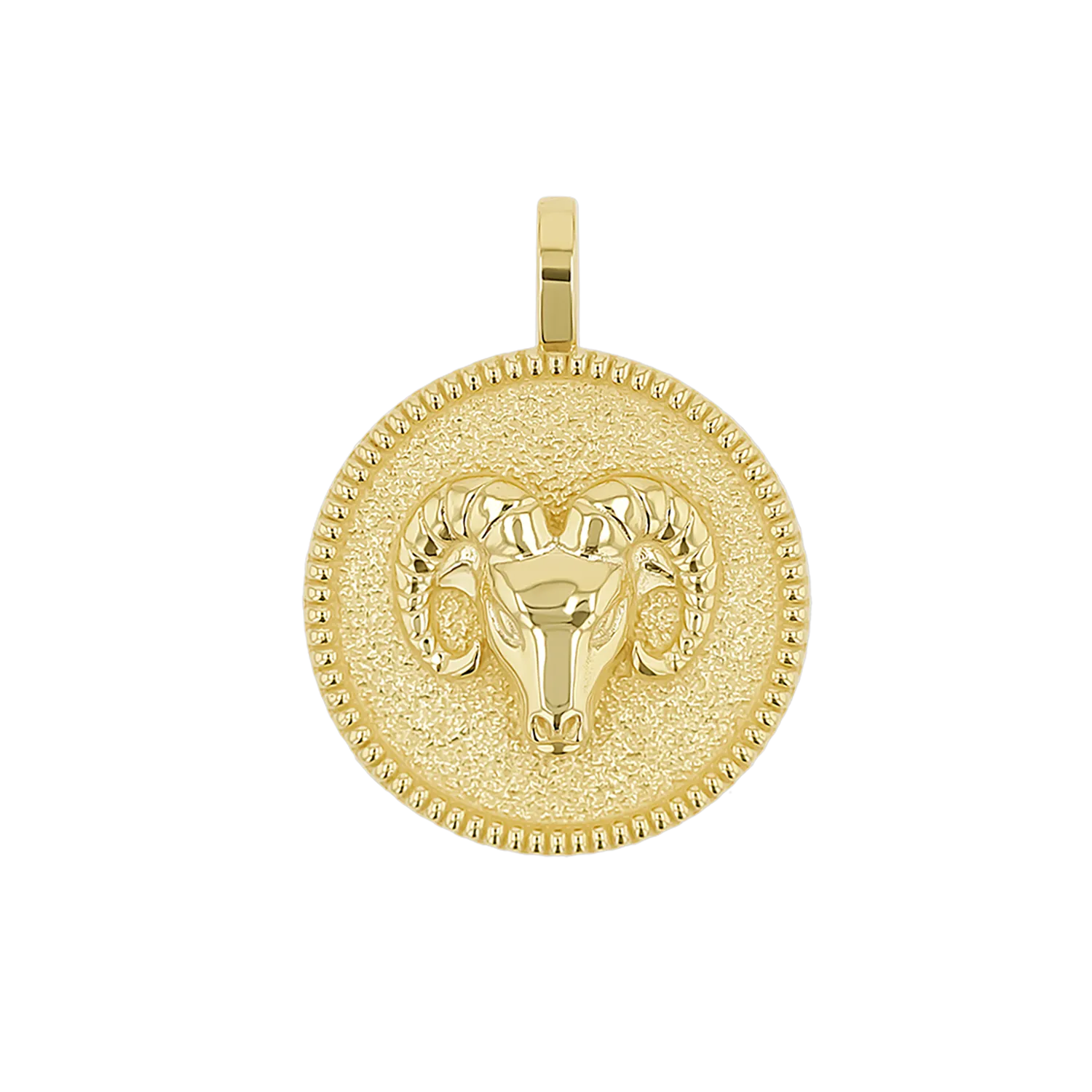 Zodiac Coin Medallion Charm